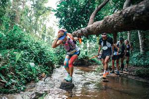 BIB: 
                            <button type="button" onclick="openModal(25369811)" class="btn btn-primary btn-sm float-right btn-popup" data-toggle="modal" data-target=".modal-high-quality">
                        <i class="fas fa-shopping-cart"></i> Add to Cart
                    </button>
                                            <button type="button" onclick="isThisMe(25369811, true)" class="btn btn-success btn-sm float-right btn-popup btn-isme hidden" data-toggle="tooltip" data-placement="bottom" title="นี่คือรูปของคุณใช่ไหม คลิกที่นี่เพื่อเอาเข้าอัลบั้ม">
                        <i class="fas fa-plus"></i> Add to album
                    </button>
                    <button type="button" onclick="isThisMe(25369811, false)" class="btn btn-warning btn-sm float-right btn-popup btn-isnotme hidden">
                        <i class="fas fa-ban"></i> Remove from album
                    </button>